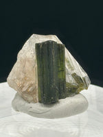 Natural Quartz with Green Tourmaline Crystal – Minas Gerais, Brazil Mineral Specimen