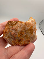 Sunshine Spirit Cactus, Golden Healer Quartz Cluster, South Africa #2