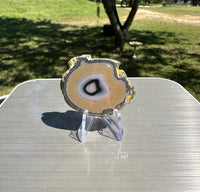 Agate Slice #33