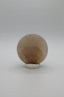 Designer Dendritic Agate Cabochon #5