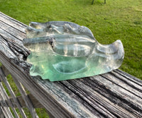 Fluorite Dragon Head Carving #15