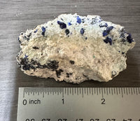 Azurite, Sierra Rica, Chihuahua, Mexico