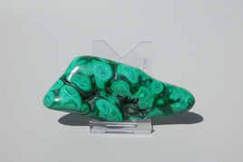 Polished Malachite Freeform, Zaire, Africa #6