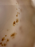 Natural Agate Slab #8