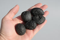 Natural Black Vietnam Tektite (large)