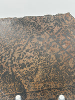 Nevada Picture Jasper Slab #2 - Old Stock