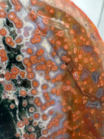 8th Vein Ocean Jasper Slab #25