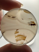 Designer Dendritic Agate Cabochon #9