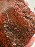8th Vein Ocean Jasper Slab #7