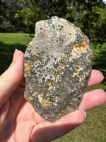 8th Vein Ocean Jasper Slab #125