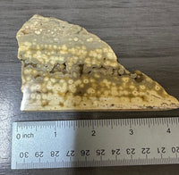 8th Vein Ocean Jasper Slab #94