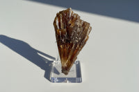 Natural Amber Calcite Raw Specimen UV Reactive #13