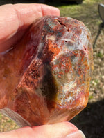Savannah River Agate Specimen 1b