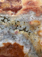 8th Vein Ocean Jasper Slab #53