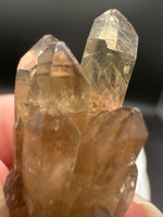 Natural Kundalini Citrine Lightbrary Crystal #14