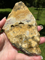 8th Vein Ocean Jasper Slab #102