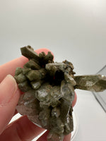 Chlorite Included Himalaya Quartz Crystal from Pakistan