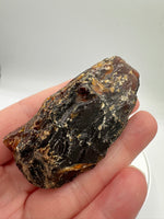Madagascar Raw Amber Specimen #12