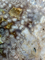 8th Vein Ocean Jasper Slab #47