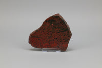 8th Vein Ocean Jasper Slab #7