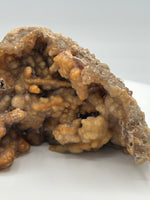 Withlacoochee River Agatized Coral #10