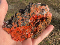 Crocoite, Red Lead Mine, Dundas, Tasmania, Australia