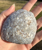 Polished Front Agate Geode #1