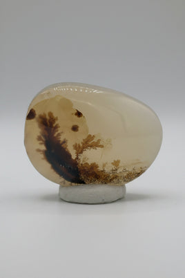 Designer Dendritic Agate Cabochon #6