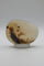 Designer Dendritic Agate Cabochon #6