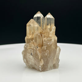 Natural Kundalini Citrine Lightbrary Crystal #11 – DR Congo
