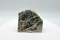 8th Vein Ocean Jasper Slab #22