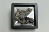 Garnet Specimens from NC in Case
