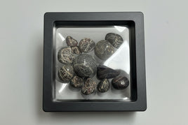 Garnet Specimens from NC in Case