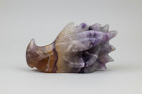 Fluorite Dragon Head Carving #21