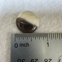 Owyhee Blue Opal Cabochon #49