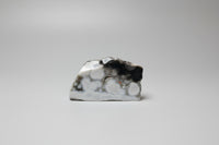 6th Vein Ocean Jasper Polished Freeform #23