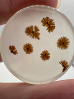 Scenic Dendritic Agate Cabochon #3