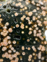 8th Vein Ocean Jasper Slab #50