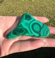 Polished Malachite Freeform Zaire, Africa #7