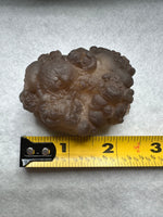Panda Agate aka Truffle Chalcedony #3