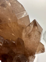 Kundalini Natural Citrine Crystal, D R Congo, Lightbrary #9