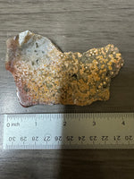 8th Vein Ocean Jasper Slab #85