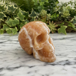 Yellow and White Mixed Calcite Skull #1