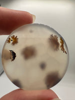 Scenic Dendritic Agate Cabochon #10