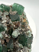 Diana Maria Fluorite Specimen #4