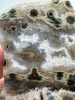 8th Vein Ocean Jasper Slab #62