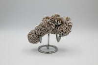 Selenite "Desert Rose," Samalayuka Desert, Chihuahua, Mexico #3