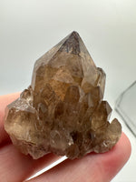 Kundalini Natural Citrine Crystal, D R Congo, Lightbrary, Specimen #3