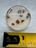 Scenic Dendritic Agate Cabochon #6