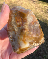 Savannah River Agate Specimen 1j